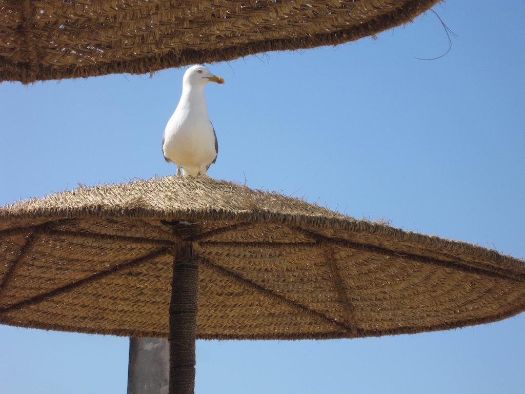 Ben Atar Essaouira